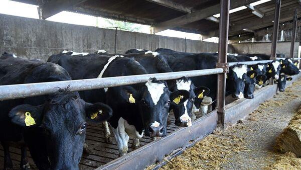 宝拉·海因斯：风暴巴伯特增加了工作量