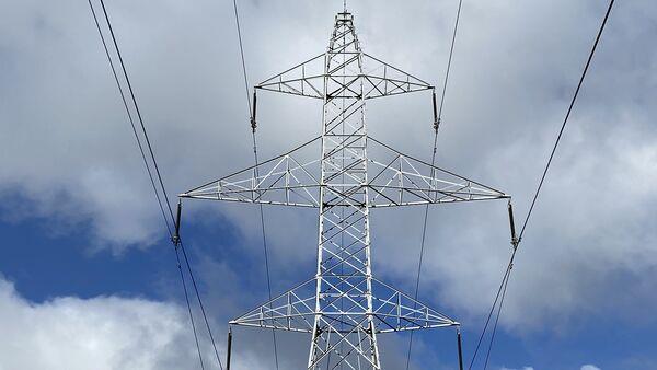 ESB将向公众发行礼品卡以激励“突破高峰” ESB将向公众发行礼品卡以激励“突破高峰”