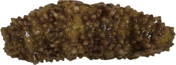 玩家辅助神器:“新荣耀大厅透视挂”(原来确实是有挂) 玩家辅助神器:“新荣耀大厅透视挂”(原来确实是有挂)