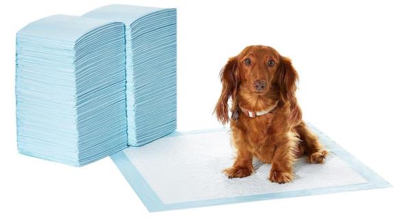 科普知识“鑫豪天地小九怎么一直输”详细教程辅助工具 科普知识“鑫豪天地小九怎么一直输”详细教程辅助工具