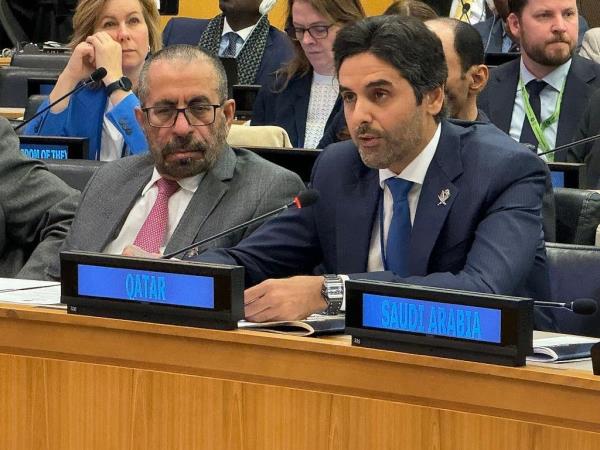 卡塔尔参加了在纽约举行的索马里安全会议 卡塔尔参加了在纽约举行的索马里安全会议