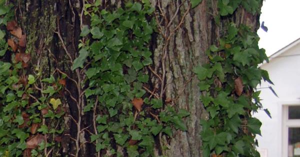 辅助神器“微信小程序麻将开挂神器下载软件”(曝光透视必备猫腻) 辅助神器“微信小程序麻将开挂神器下载软件”(曝光透视必备猫腻)