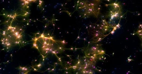 盘子里的脑细胞群可以玩电脑游戏乒乓