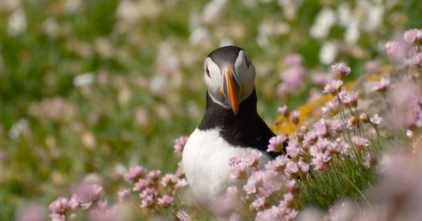 万能开挂辅助“陕麻圈辅助器安装免费!详细分享装挂步骤 万能开挂辅助“陕麻圈辅助器安装免费!详细分享装挂步骤