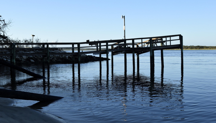 计数难题——神经细胞对少量事物的探测能力要强于对大量事物的探测能力 计数难题——神经细胞对少量事物的探测能力要强于对大量事物的探测能力