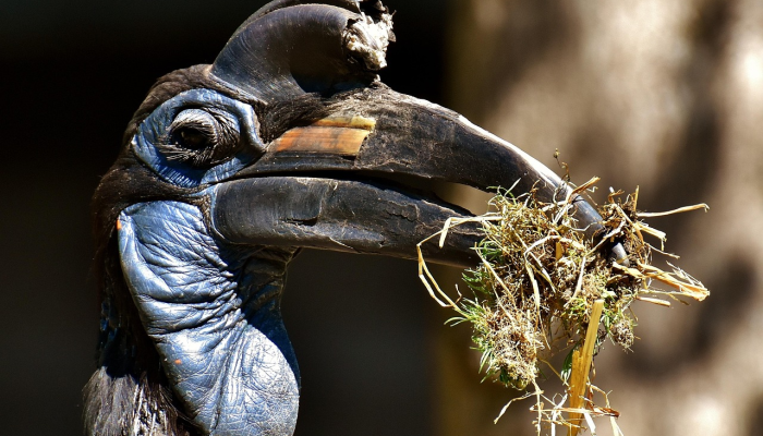 计数难题——神经细胞对少量事物的探测能力要强于对大量事物的探测能力 计数难题——神经细胞对少量事物的探测能力要强于对大量事物的探测能力