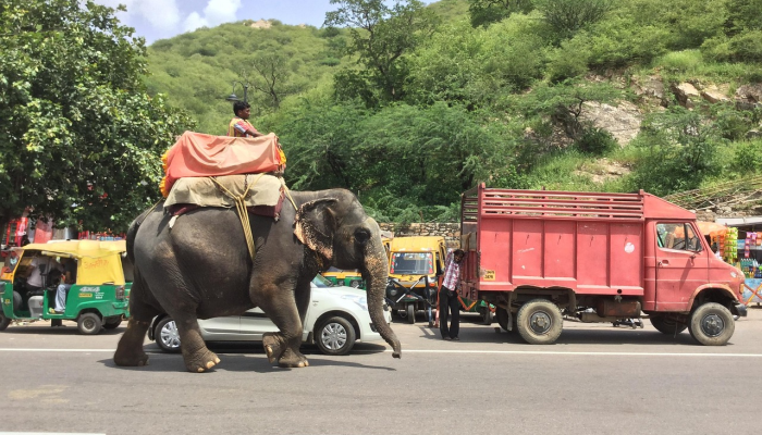 做好面对洪水的准备，尤其是在洪水易发地区