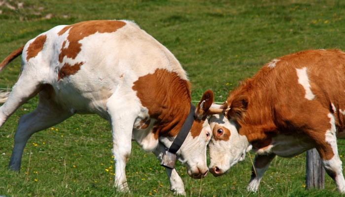 尽管哈里和梅根已经从王室网站上删除了,但他们仍然可以使用HRH头衔 尽管哈里和梅根已经从王室网站上删除了,但他们仍然可以使用HRH头衔