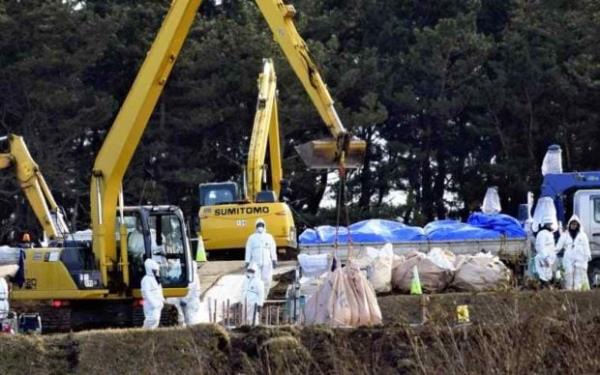 辅助开挂工具“微乐河南麻将万能挂下载”(确实是有挂)-知乎