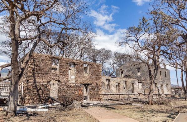 开挂辅助工具“椰子大厅开挂”分享用挂教程