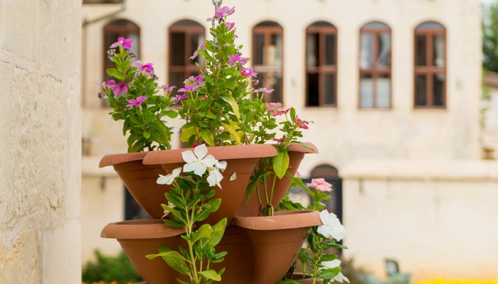 分享干货“新玉海楼茶苑有挂吗!详细分享装挂步骤