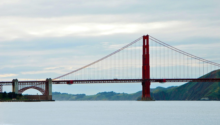辅助神器“微友麻将开挂器通用版”(曝光透视必备猫腻) 辅助神器“微友麻将开挂器通用版”(曝光透视必备猫腻)
