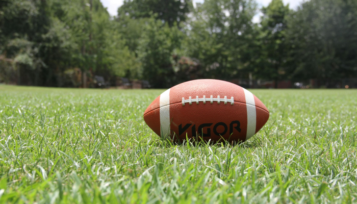 哈尼称霸WBC超轻量级世界冠军