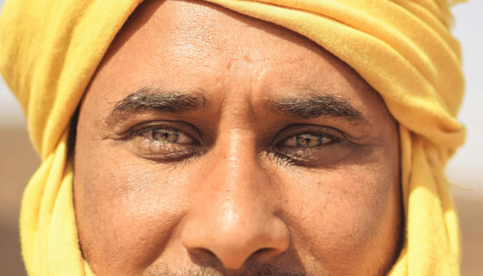 1分钟学会“微乐山东麻将怎样免费开挂”开挂(透视)辅助教程 1分钟学会“微乐山东麻将怎样免费开挂”开挂(透视)辅助教程