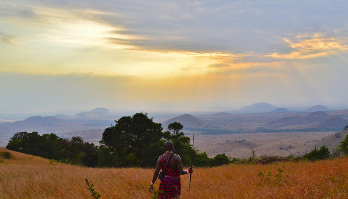弗兰克说布伦特福德需要“难以置信”的报价才能出售托尼 弗兰克说布伦特福德需要“难以置信”的报价才能出售托尼