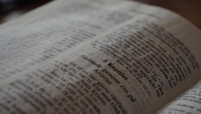 亨特·拜登的律师向特朗普法律团队发出了勒令停止函 亨特·拜登的律师向特朗普法律团队发出了勒令停止函