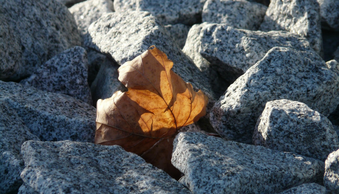 干旱给该国最大的棉花生产商造成损失