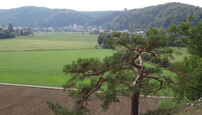 法国比利牛斯山脉的农民通过维护自然景观而获得报酬 法国比利牛斯山脉的农民通过维护自然景观而获得报酬