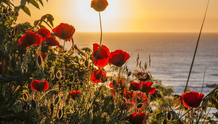 准备好迎接一年中最寒冷的一月吧