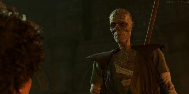 Baldur's Gate 3 Withers