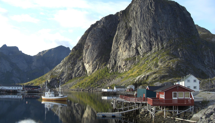 巨人队被小熊队横扫,输掉了五成胜率 巨人队被小熊队横扫,输掉了五成胜率
