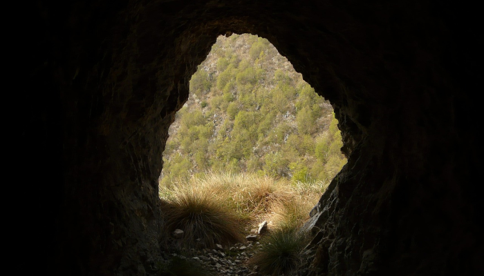 玩家必看教程“天天斗牌可以开挂吗”(曝光透视必备猫腻) 玩家必看教程“天天斗牌可以开挂吗”(曝光透视必备猫腻)
