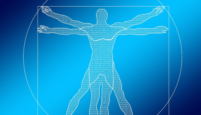 11月，fpi在债券市场的投资达到了两年来的最高水平，达到了12400亿卢比