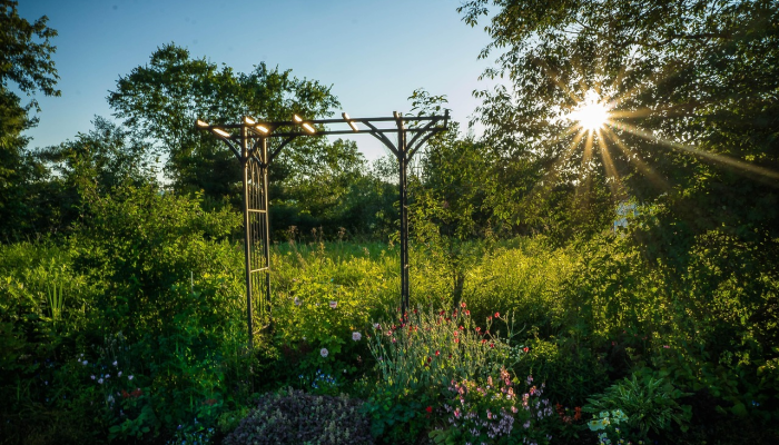 玩家辅助神器:“微乐内蒙麻将小程序必赢神器免费安装!详细分享装挂步骤 玩家辅助神器:“微乐内蒙麻将小程序必赢神器免费安装!详细分享装挂步骤