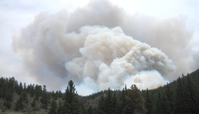 母公司对分拆影响的实证研究:从创建到绩效 母公司对分拆影响的实证研究:从创建到绩效