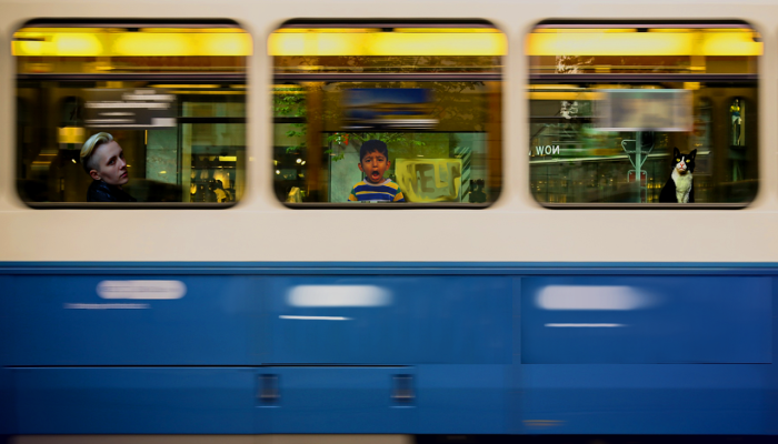 关于2023年社保可乐你要知道的11件事 关于2023年社保可乐你要知道的11件事