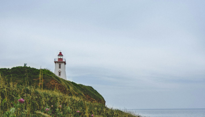 加拿大的干燥天气导致干旱 加拿大的干燥天气导致干旱
