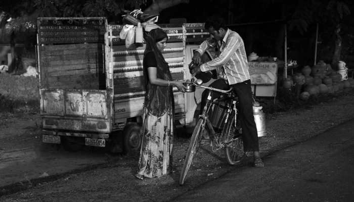 教程辅助!“丽水都菜有挂吗”详细开挂玩法