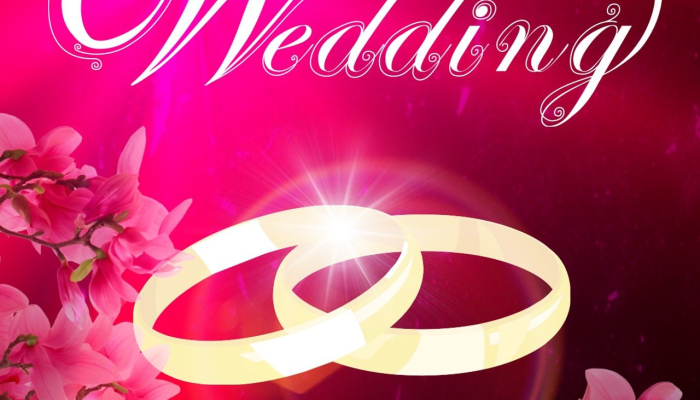 辅助神器“新九哥斗牛透视软件!分享用挂教程 辅助神器“新九哥斗牛透视软件!分享用挂教程