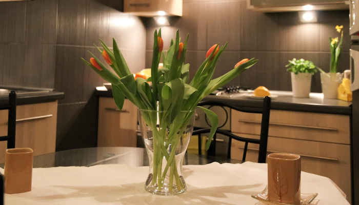 介绍一款“新蜜瓜大厅如何开挂!详细分享装挂步骤