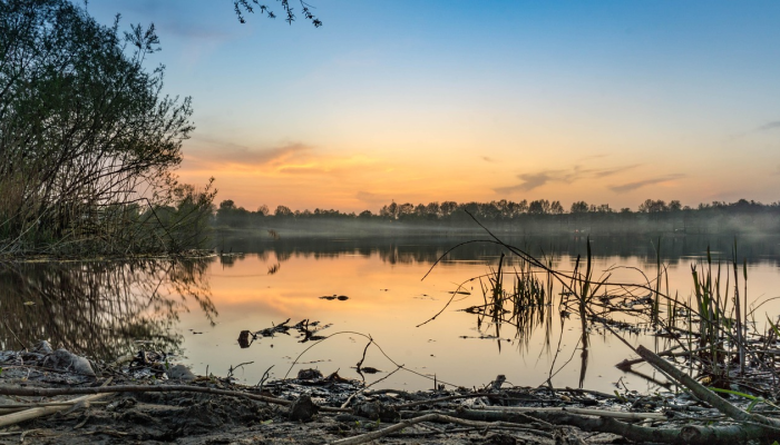 在乌克兰的森林里,士兵们击退了俄罗斯的致命进攻 在乌克兰的森林里,士兵们击退了俄罗斯的致命进攻