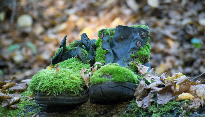 SC警察说,在树林里工作的工作人员偶然发现了遗骸它们属于一个失踪的人 SC警察说,在树林里工作的工作人员偶然发现了遗骸它们属于一个失踪的人