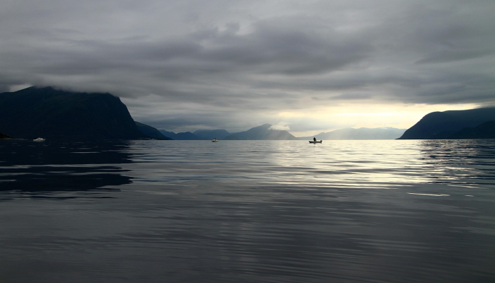 斯里兰卡罗兴亚难民抗议联合国关闭办事处的计划，他们担心被遗弃