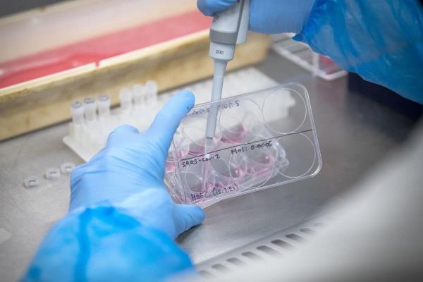 辅助神器“宜昌花牌技巧口诀!详细分享装挂步骤 辅助神器“宜昌花牌技巧口诀!详细分享装挂步骤