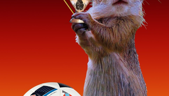 NFL明星特拉维斯·凯尔斯分享了他与泰勒·斯威夫特第一次交往的细节 NFL明星特拉维斯·凯尔斯分享了他与泰勒·斯威夫特第一次交往的细节