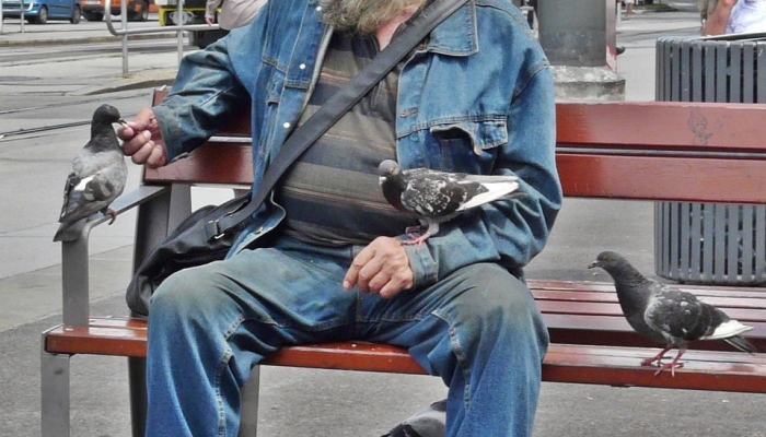 玩家辅助神器:“欢聚水鱼辅助软件!详细分享装挂步骤 玩家辅助神器:“欢聚水鱼辅助软件!详细分享装挂步骤