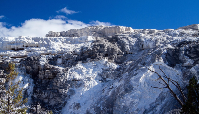 1分钟学会“微乐安徽麻将开挂神器下载”(原来确实是有挂)