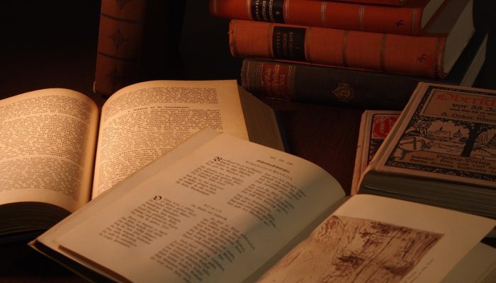 南卡罗来纳州的梅斯得到麦卡锡，加巴德的支持