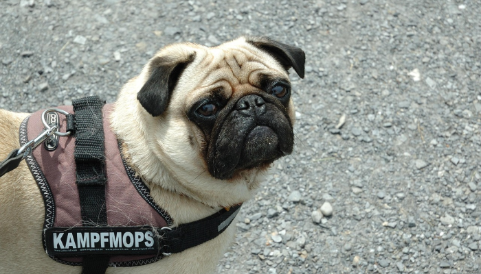 “我们的小女孩脱离了危险她很警觉，甚至还笑了——在托儿所袭击中受伤的5岁孩子的妈妈