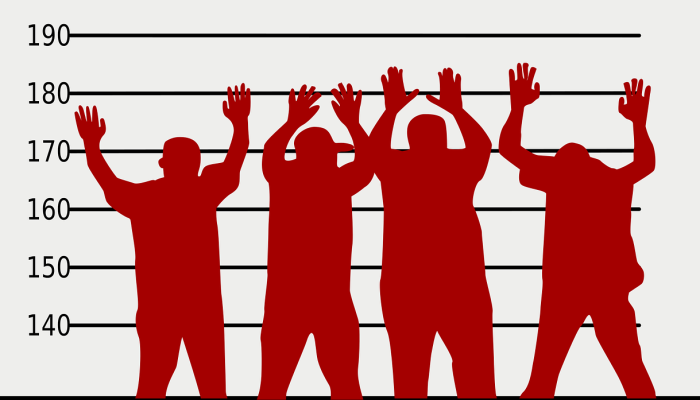 航空燃油价格的周期性将对PetDag构成挑战