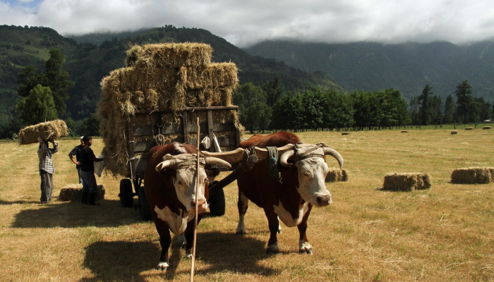 苏纳克警告说，如果骨质疏松危机得不到解决，削减NHS候诊名单是“不可能的”