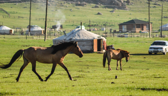教程辅助!“蛮王大厅透视挂方法”其实确实有挂 教程辅助!“蛮王大厅透视挂方法”其实确实有挂