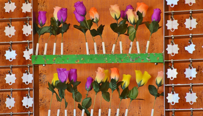 希腊议员退出激进左翼联盟党以抗议新领导人