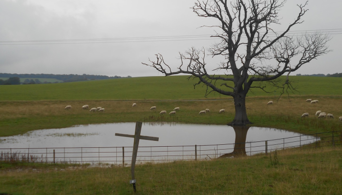 实测辅助“微乐联盟透视”详细开挂玩法 实测辅助“微乐联盟透视”详细开挂玩法