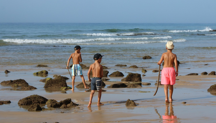 金蛋？在阿拉斯加海底看到的神秘闪亮的球体让海洋探险家们难住了