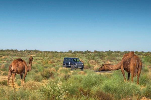 F-Zero 99曝光,范主的希望再次破灭 F-Zero 99曝光,范主的希望再次破灭